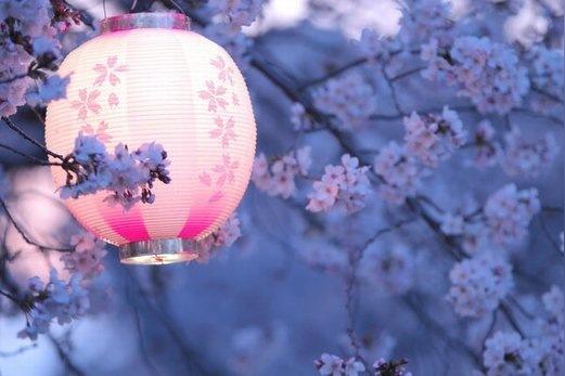 美到窒息的古风句子惊艳了世人的书摘文案