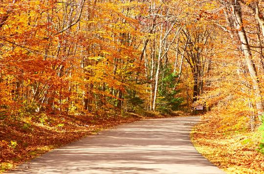 秋天_场景_道路_图片大全—全景创意图库（quanjing.com）中国领先的正版图片视频素材网站