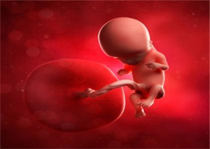 孕晚期胎儿左肾盂分离是什么意思