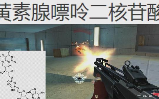 fad自动步枪:都被本国人嫌弃的“生物学”步枪，命运坎坷的超冷门gp武器!