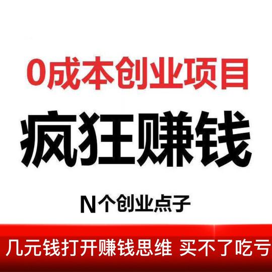 副业赚钱教程秘籍挣钱项目小本创业捞偏门生意思路方法课程网课全