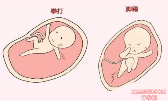 怀孕多久有胎动_怀孕几个月有胎动