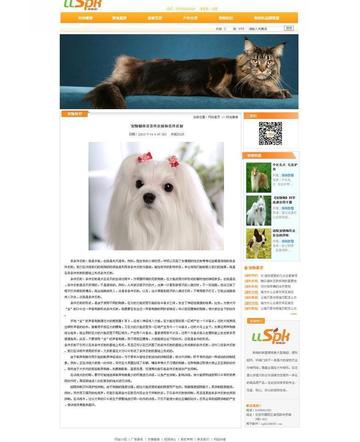宠物天堂网站的长尾关键词有哪些