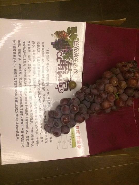 卖葡萄不靠刷屏靠什么?酒吧小王子朱叫兽创业故事第234天!
