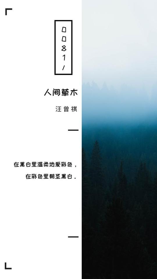 《人间草木》十句经典句子