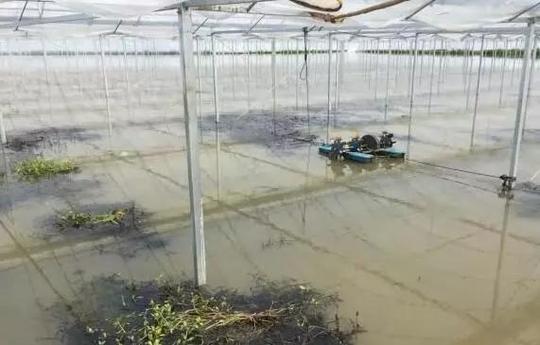 广安室内养殖澳洲淡水龙虾小龙虾养殖收益_江苏养_100招商网