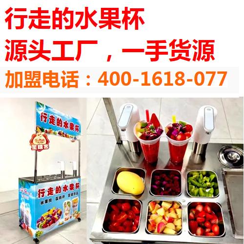 行走的汉堡源头厂家创业项目