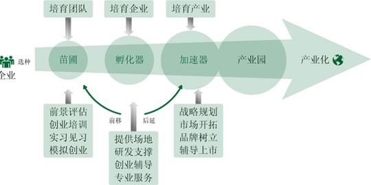 苗圃-孵化器-加速器全链条建设以来,将创新扶植服务向创业前端延伸
