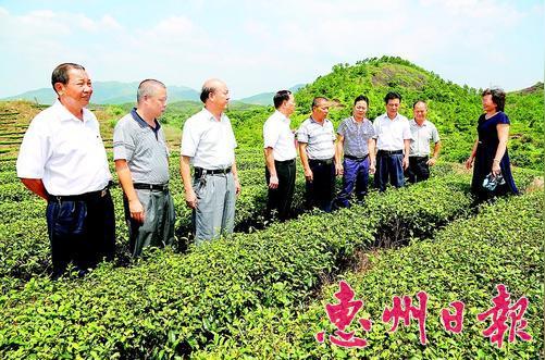 林冯久(左三)与卢呈祥(左四)实地考察农村青年创业项目.