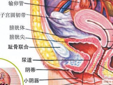 儿童感染腺病毒有哪些症状