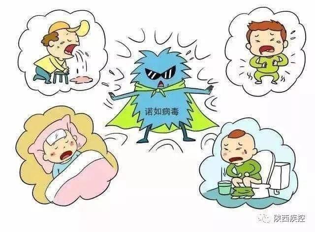 诺如病毒和普通腹泻有什么区别