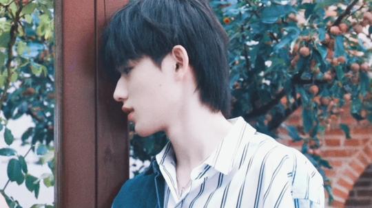 宋亚轩橙光素材看图看简介7。