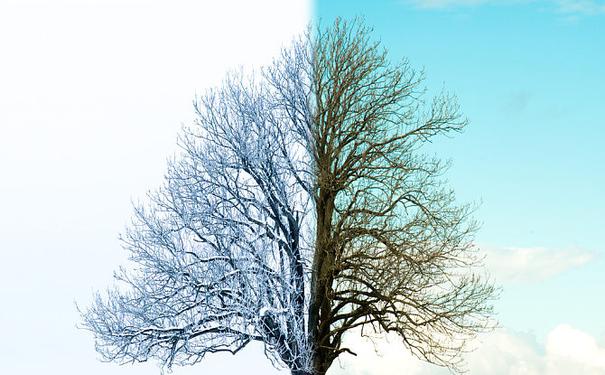 描写冬天进入春天的句子春天来了请你写一写气候有什么变化花草树木人