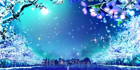 唯美梦幻的四季花开景色四季如春花瓣飘落舞台背景动态视频素材