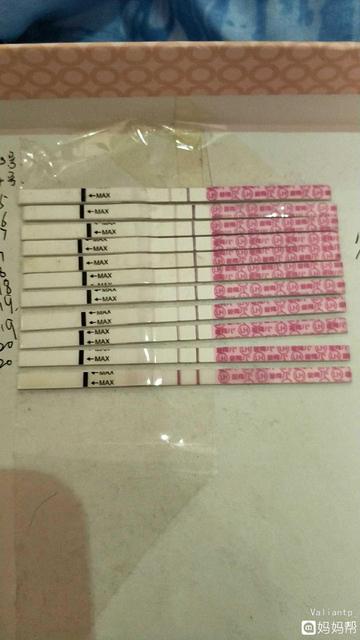 排卵试纸的正确使用方法