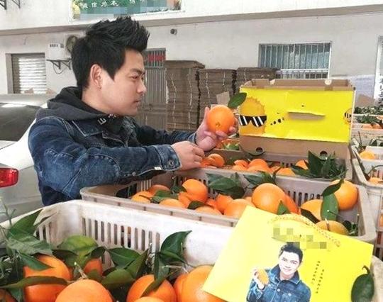 农民网红长似"林志颖",农村创业卖水果,年纯收入几十万