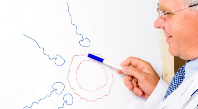 备孕要多久同房一次合适