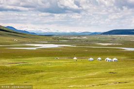 再见莫妮卡(柏香果吖)