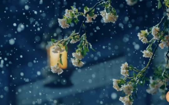 [古风唯美空境]白嫖吧!!!都是下雪的。