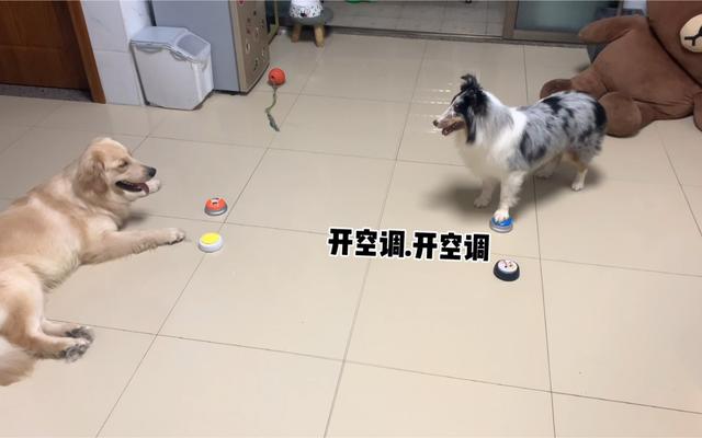 天气热了学校里能开空调吗