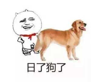 我真是日了狗了搞笑表情包