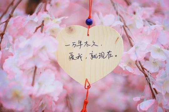 文案短句温柔成熟爱情古风_超级温柔的古风文案-第2张图片-文案大大