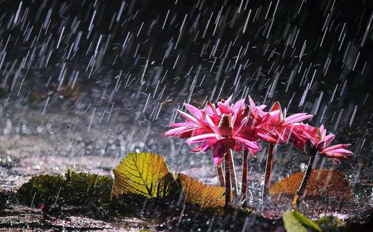 下雨天心情说说图片_雨天唯美意境图-励志图片