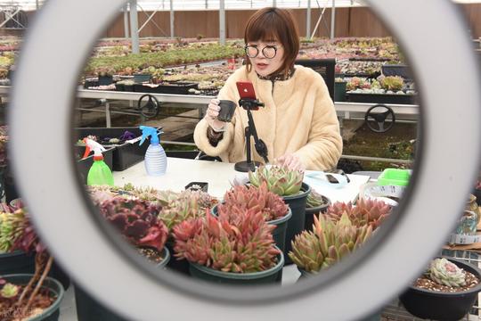 乡村振兴战略背景下，适合返乡创业青年的农业项目都有哪些?