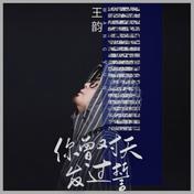 你曾对天发过誓(王韵)