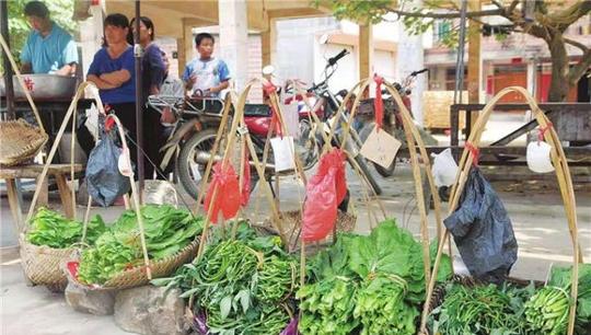 创业新路径无人售菜摊卖菜全靠自觉放钱钱竟然分毫不差