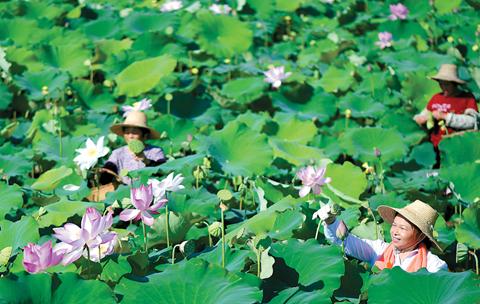 生态农业助力乡村振兴带动农民创业就业增收