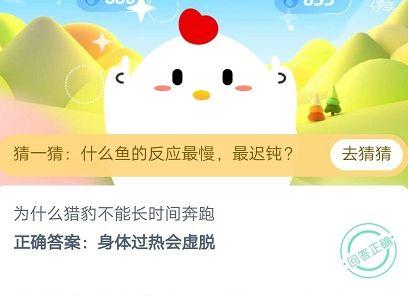蚂蚁庄园,为什么有的人吃完午饭容易犯困