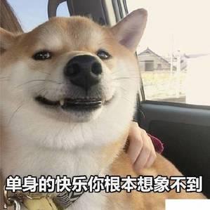 单身狗日常撸表情搞笑图