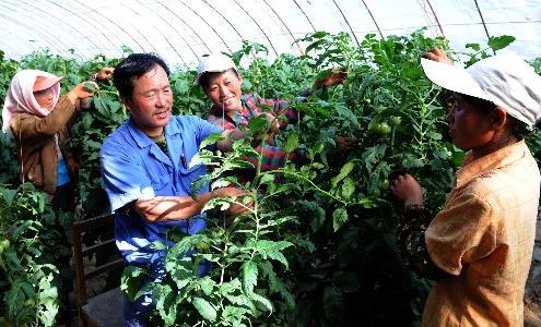 武威古浪农民工返乡创业蔚成风气
