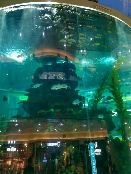 壁纸海底海底世界海洋馆水族馆740_986竖版竖屏手机