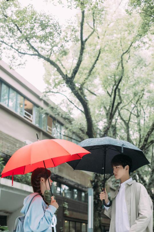 正栩影视从都市话题剧走向漫改少女心是生产出来的
