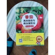 扫码看视频·轻松学技术丛书:番茄高效栽培与病虫害防治彩色图谱实拍图