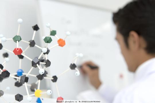 实验室工作的科学家实验室工作的科学家图片素材研究做实验职业