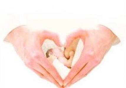 具有催乳作用的食物