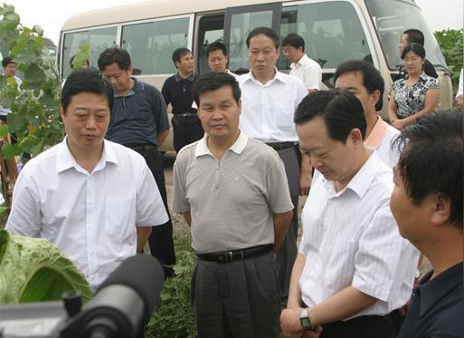 李文慧等深入我县调查研究