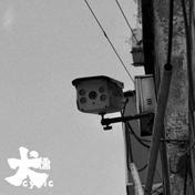 志铭(犬儒乐队)