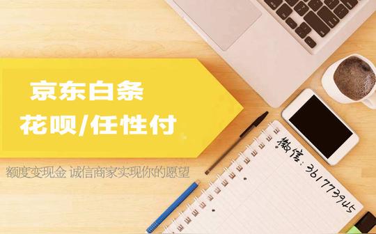 一个置办了办公室创业,仿佛印证了广告词活成我想要的样子.