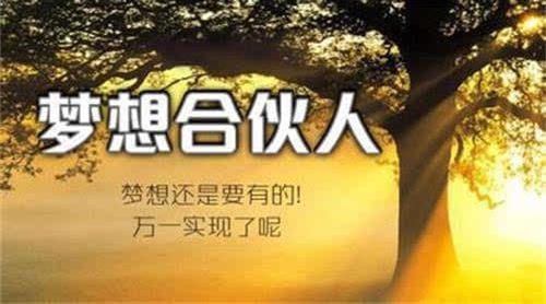ivvi品牌合伙人1339计划,创业者的机遇