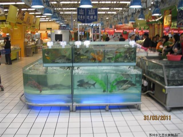 常州鱼缸批发市场:常州哪里有卖观赏鱼的地方 鱼缸