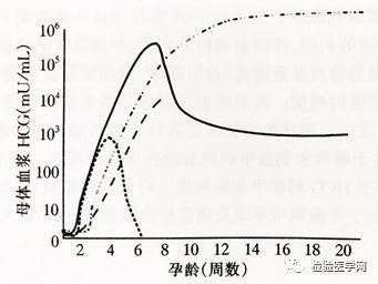 hcg根据什么变化的