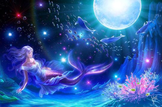 昨夜星辰昨夜风