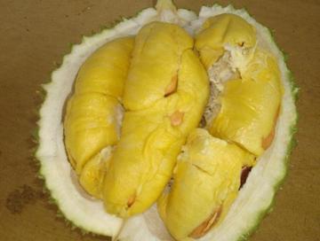 保定市哪里的榴莲好吃