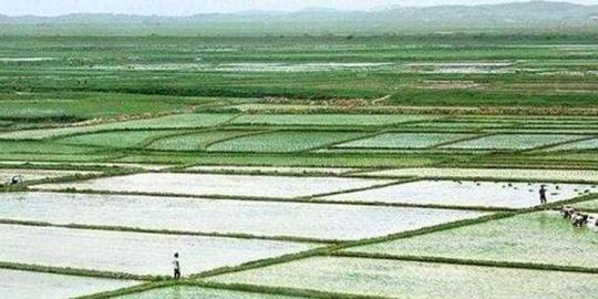 农村即将实行的一户一田是什么意思?你还不知道吗?