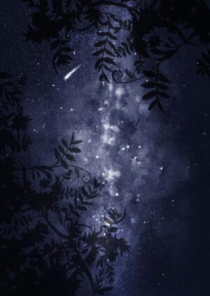 视频剪辑/ps素材