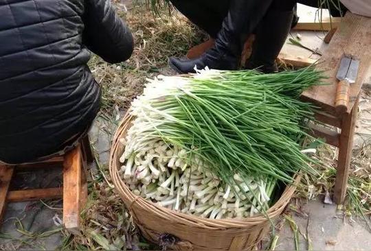 做起了"农村酒席一条龙"的生意……主人家只需出钱和场地,其他什么都